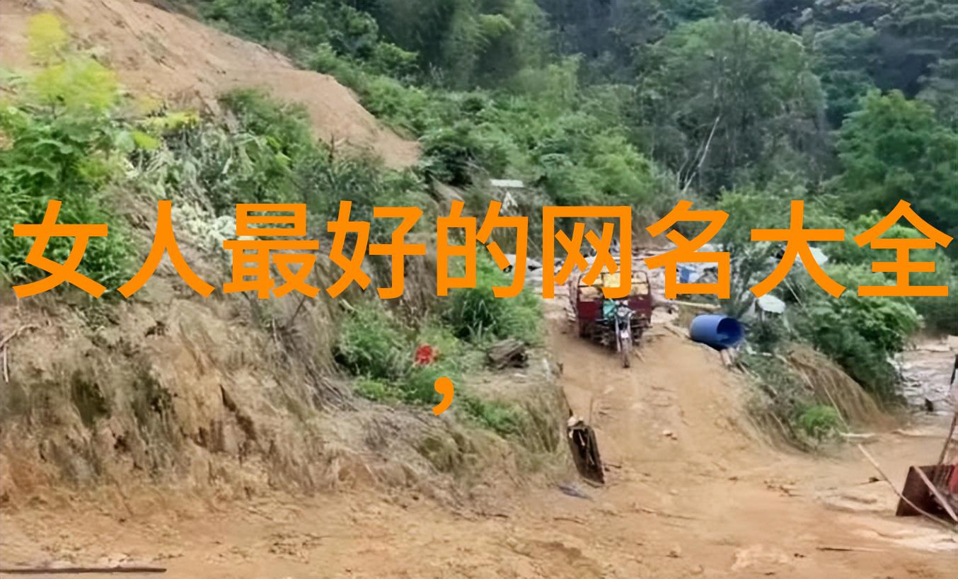 适合30岁女人简单网名-三十而立精选简约网名推荐