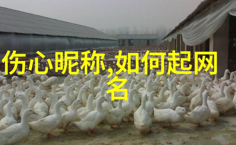 霸气搞笑游戏名字就像一盏照亮夜空的星辰闪耀着有趣昵称的光芒
