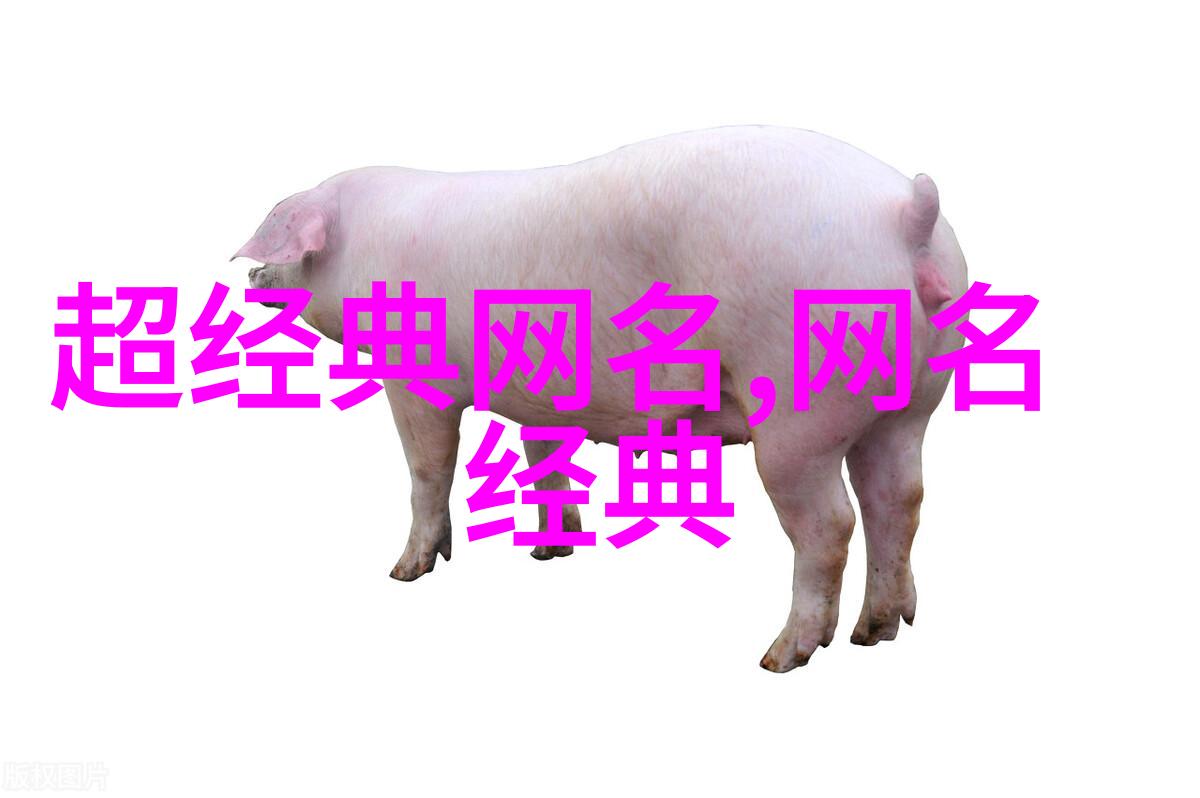 霸道独行侠王者荣耀中的非凡昵称探秘