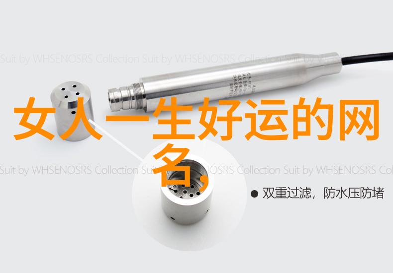 2023年最好听的微信网名 - 音韵悠扬2023年最佳微信网名推荐
