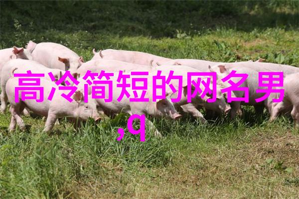 女生可爱QQ昵称大全又傻又笨的网名选择