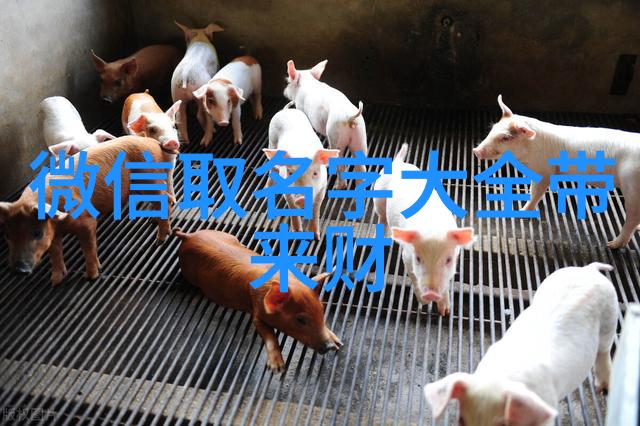 如何根据我们的个性特点选择适合我