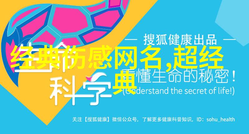音韵绘境探索好听唯美网名的艺术与魅力