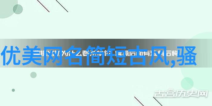 2023年女性网络名人高级气质的代言者