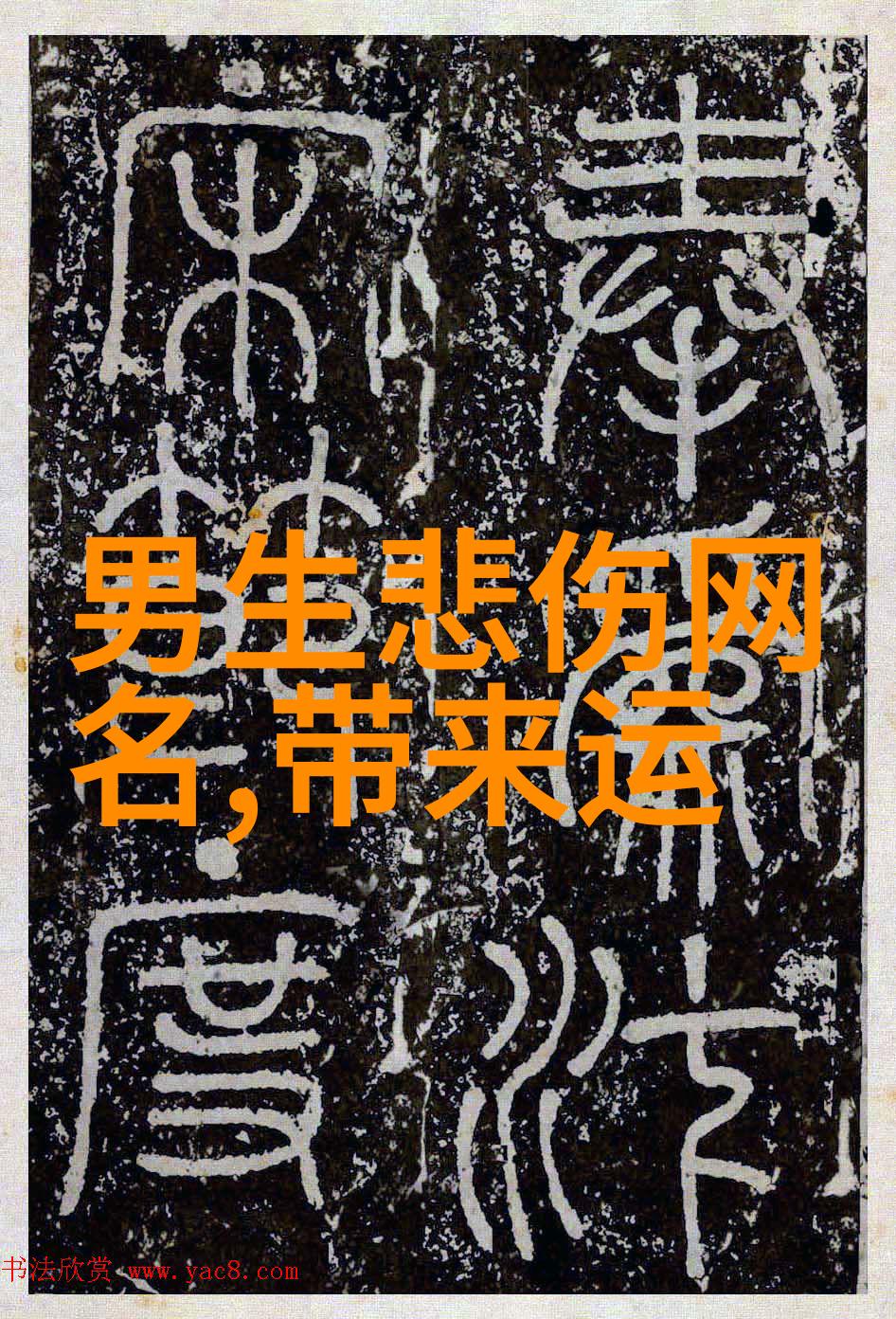 探索欧美写真艺术时尚与美学的交响