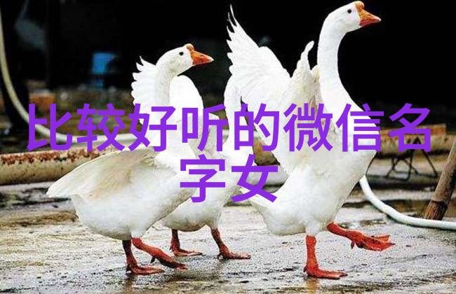 诗意淡雅网名高冷伤感社群2018余生请多指教