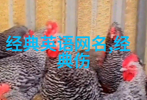 学长帮帮忙h全文免费阅读-校园恋曲学长的温柔助力