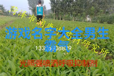 完整篇章的沉默之美探索未删减小说的艺术魅力