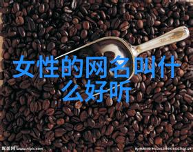 游戏名听君一词好听男孩的虚拟冒险