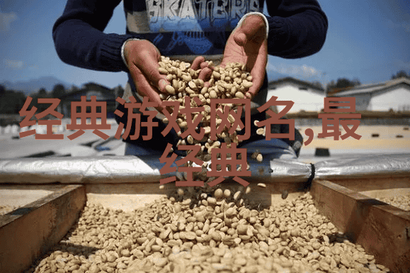 柔情绘语温婉之音与清新梦影