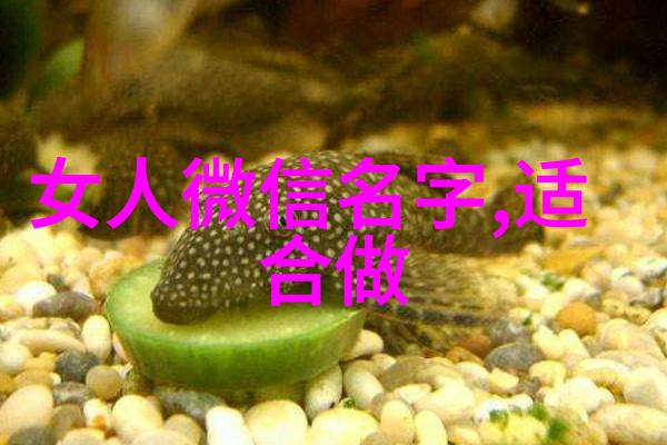 传特的推广与应用中存在哪些潜在风险和挑战