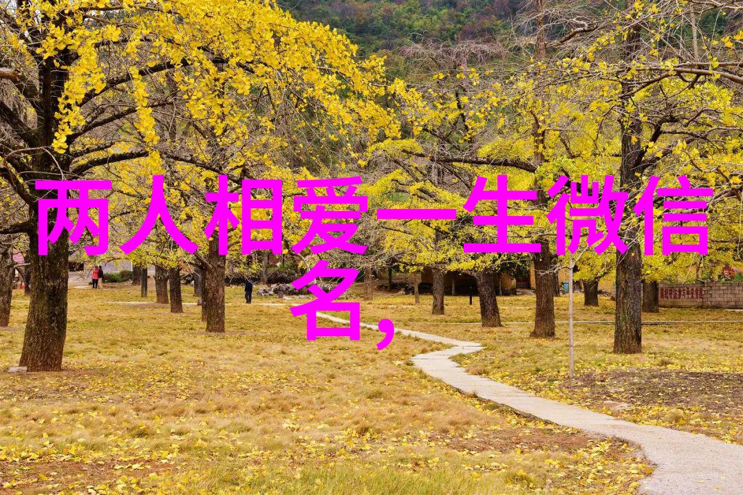 2023最火网名lol罕见好听7字网名