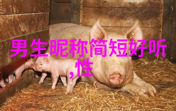 失散的情侣名回忆与遗憾的交织