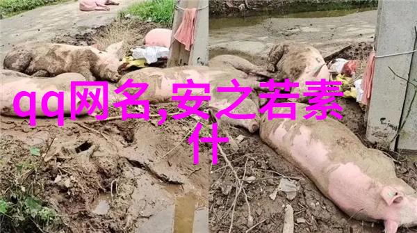 孤影掠过哥哥的空房与我那不简单的小确幸