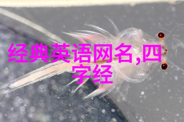 清风雅韵探索古风四字名字的诗意与哲理