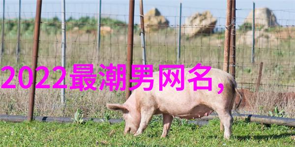 清新如水的网名女生小清新的网络昵称