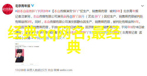 诗意绽放探索女生网名的唯美魅力