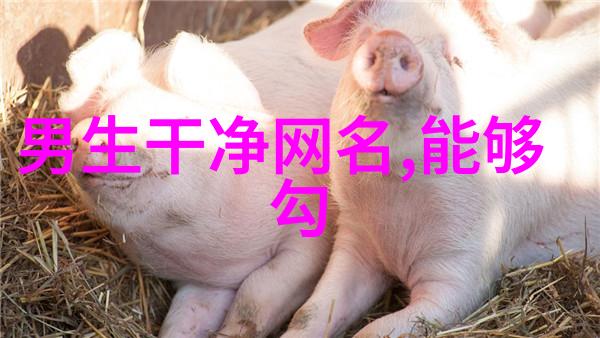 在迷雾缭绕的咖啡馆里哪些小众浪漫的英文单词能让你的心跳加速