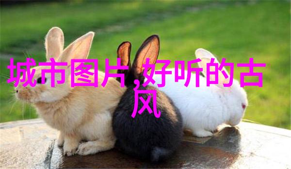 隐含爱意的昵称卷上珠帘总不如窗前花开笑语多