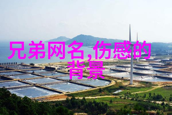 天际漫步者的肖像坠入星河背后的艺术设计理念