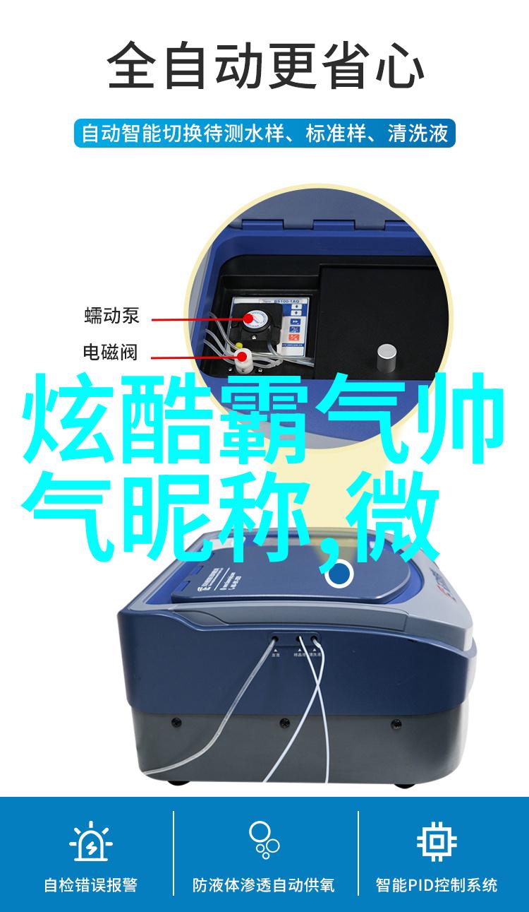 灵魂上的镶嵌石深度分析一些被认为是命中注定的名字背后的文化意义和象征意义
