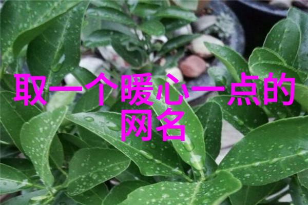 奶凶奶凶可爱网名情侣