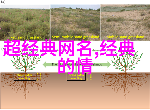 古今通显现浅析利用传统元素创意出具有磁场力的招财微信昵称特别推荐给大龄单身美女朋友们的指南篇章