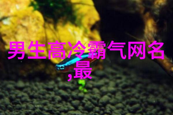 2023年最流行的女生网名创意与时尚的完美结合