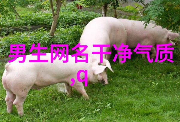 超长网名中蕴含的深层次情感是什么