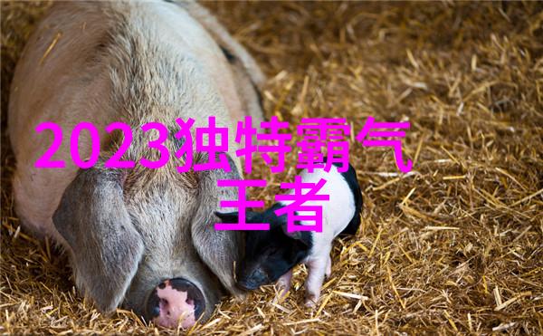 姬丝秀忒探索一个神秘女主角的世界