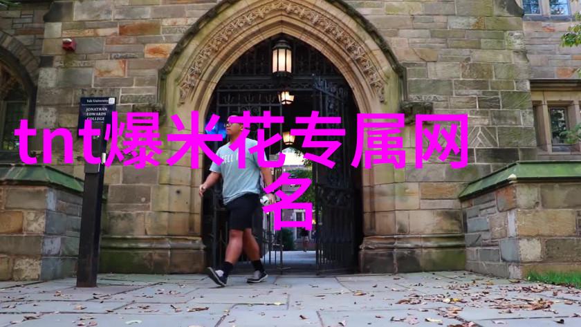 微博名片森系脱俗岁月苍老讽刺文艺高端的网名不易撞的优质之选