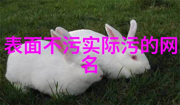 爱恋微尘探索QQ简单情侣网名的浪漫艺术
