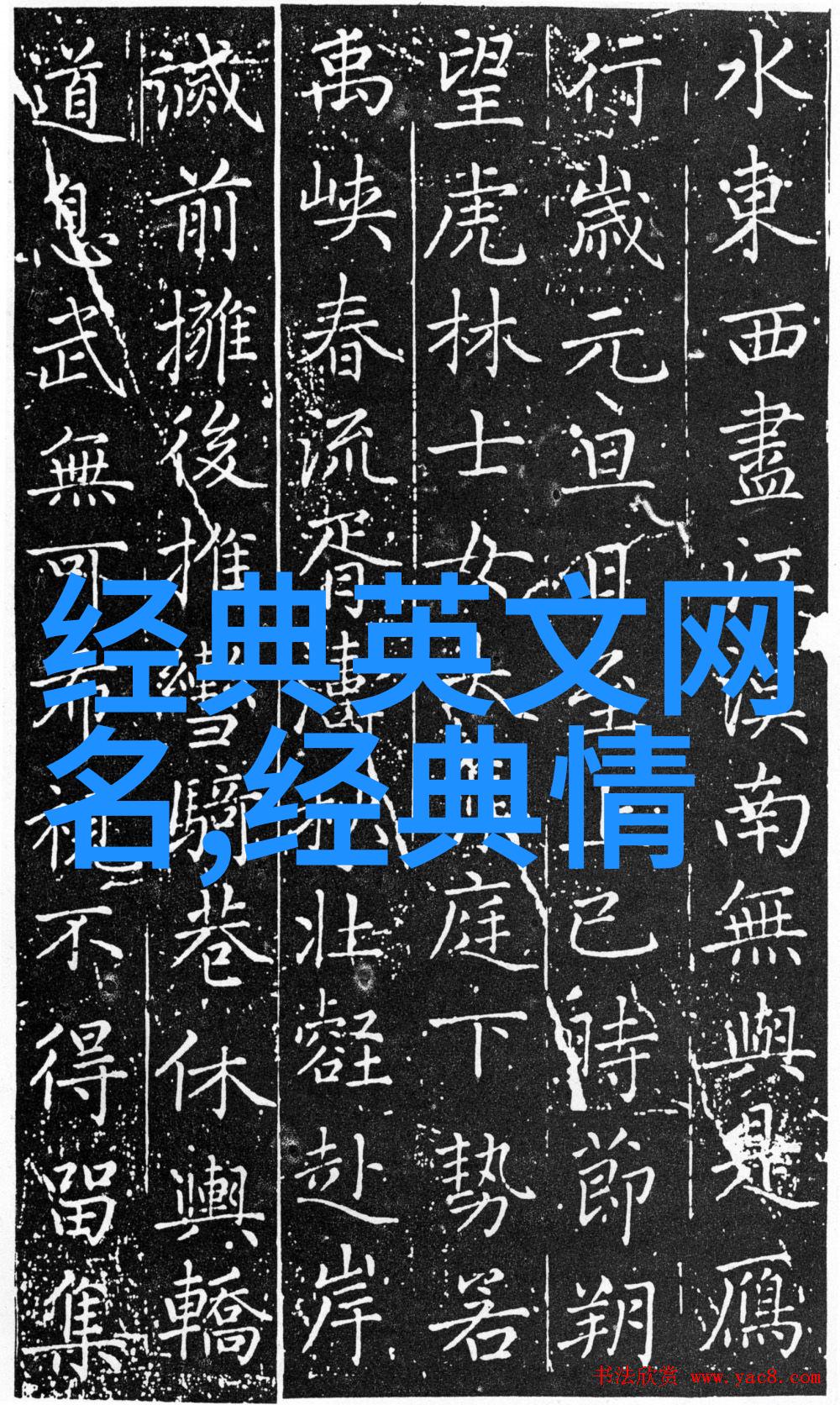 野王争霸撩不动的王者之名