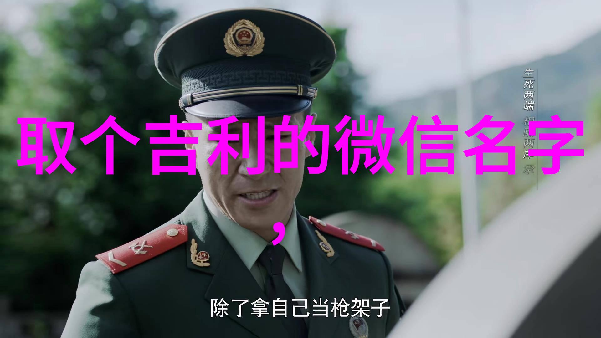 外国宠物亲密互动温馨的牵手细腻的摸摸贴心的拥抱活泼的蹭蹭和深情的亲吻