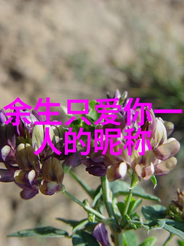 对焊机的精确艺术探索高效热处理技术的秘密