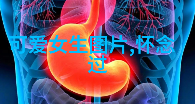编织数字之网解读现代女性的微信网名文化