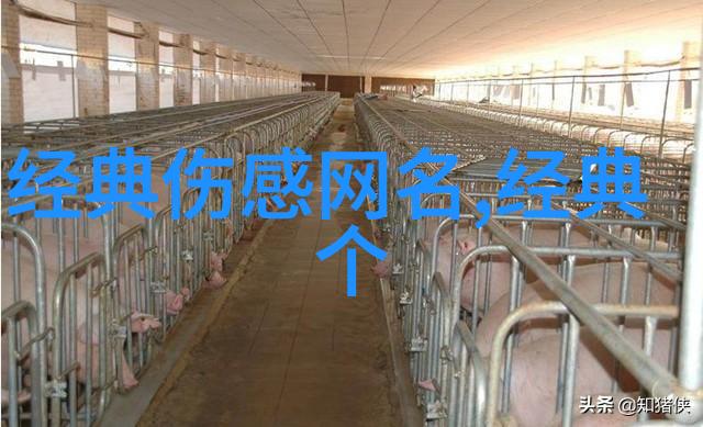 高端网络身份编织隐秘的数字殿堂
