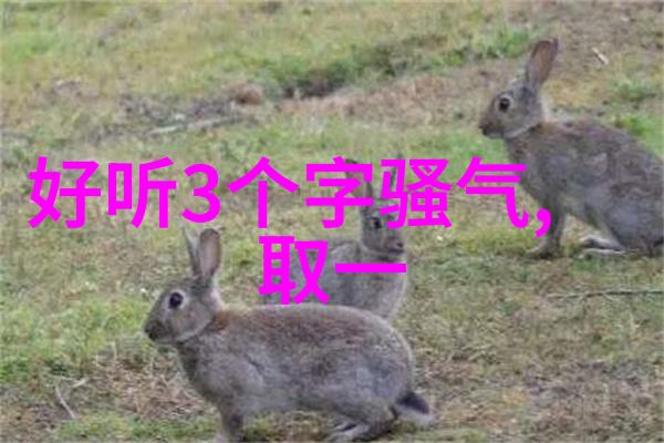 如何挑选出既优雅又动听的女生网名