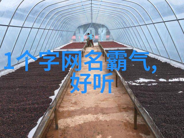 萌死个人重生个性化的生命回归