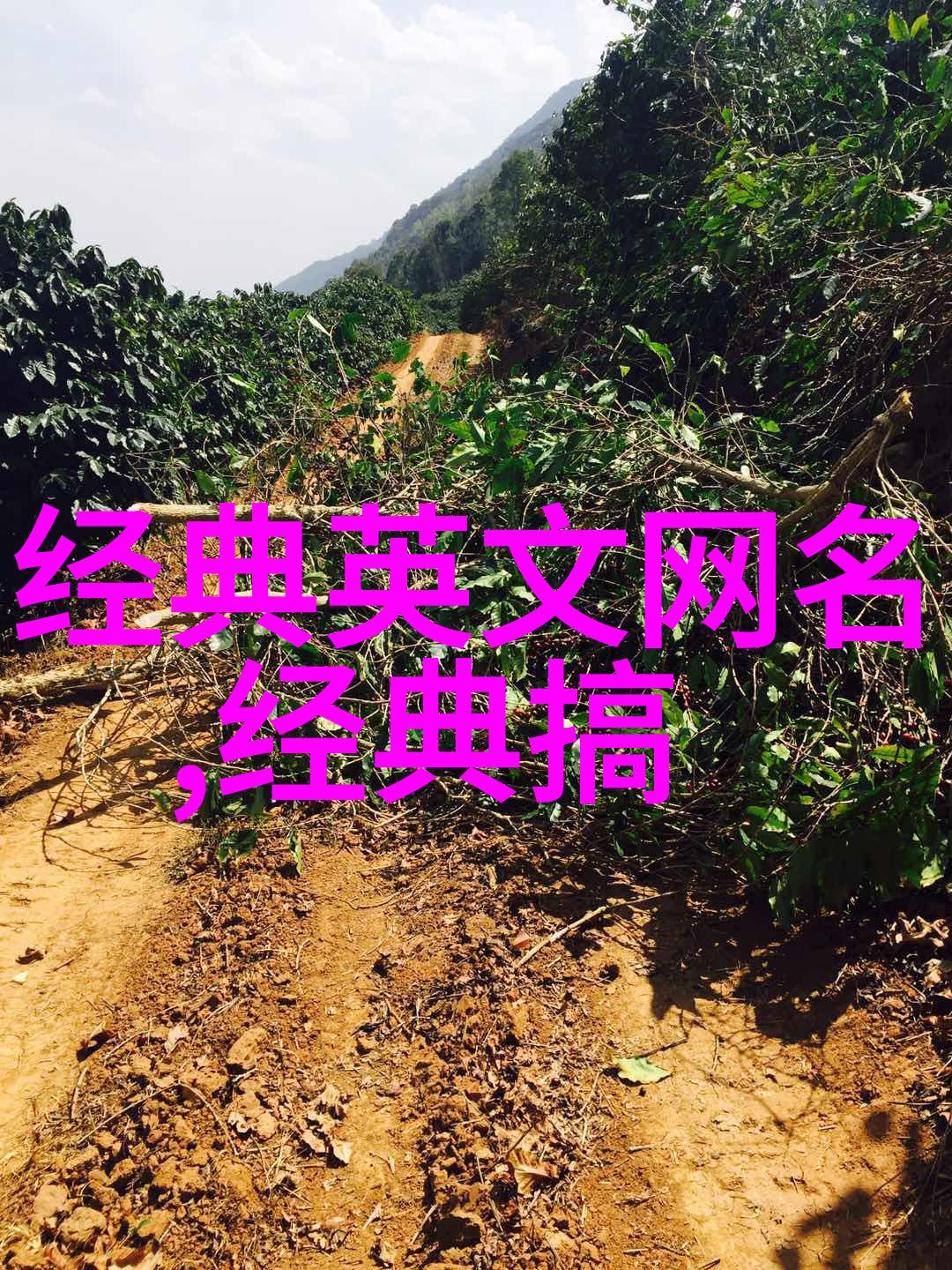 那情恐怕分不开2022超拽霸气网名在自然中闪耀