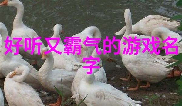 极品美女写真-超凡魅力的摄影艺术探索极品美女写真背后的故事