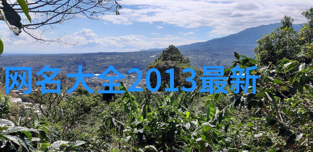 冰山上的双面刃高冷与纯净的纠缠