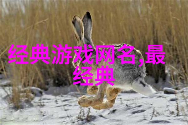 好听的兔子情侣网名