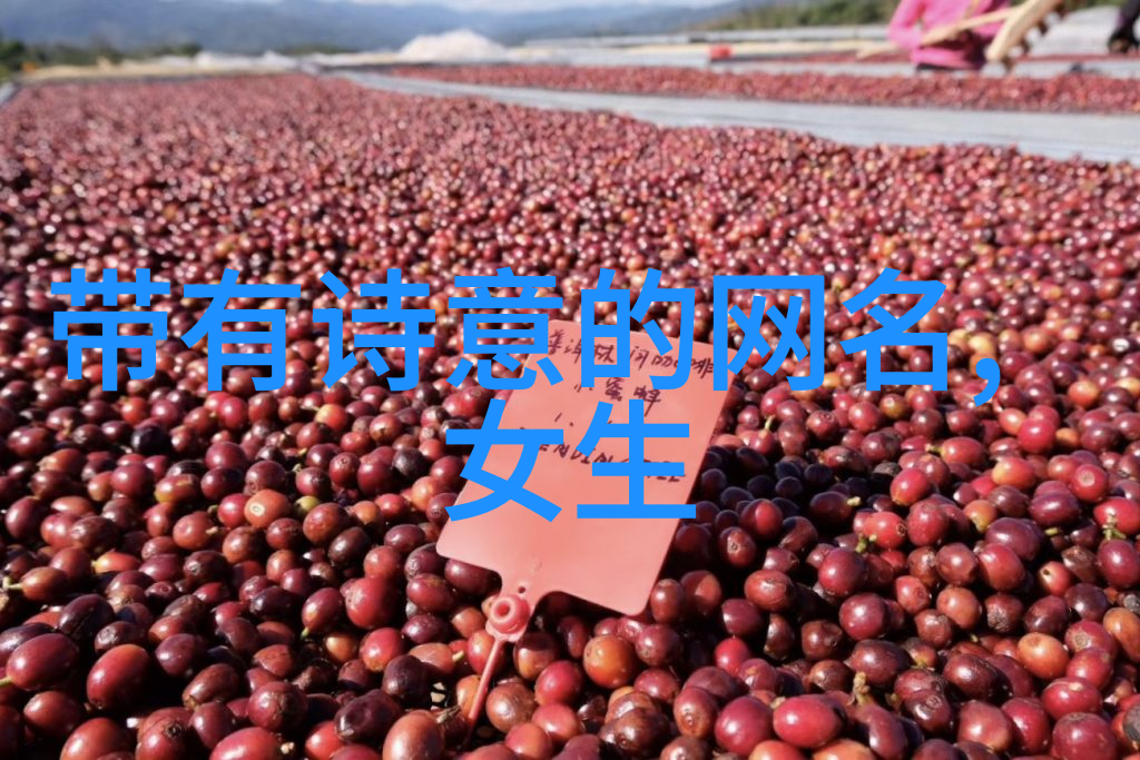 帮我起个微信名字快来看看这几个建议吧