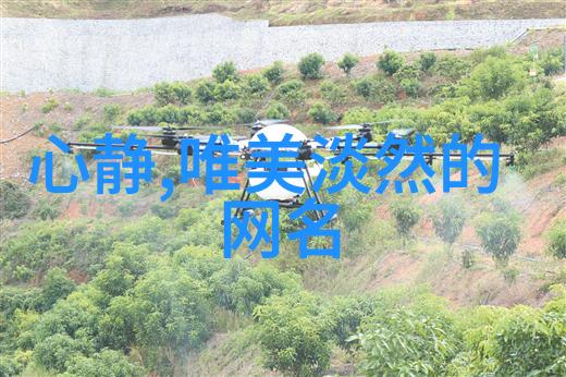 2023男生最霸气的网名我是不是有点儿过度炫耀揭秘那些让人眼前一亮的男生网名