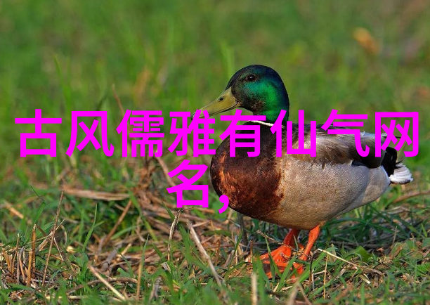 情侣名字大全撒娇与甜蜜的交织