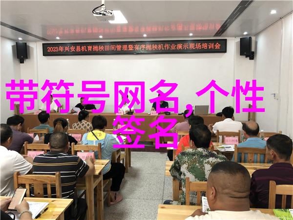 稀有二字解密揭秘身份认证中的特殊代码