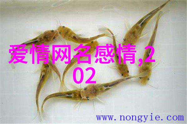 情侣网名简洁与纯粹的爱情故事