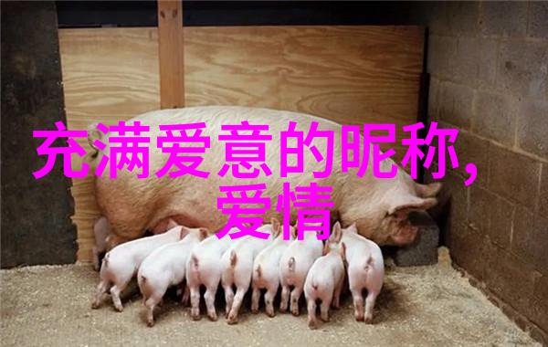 女生用SERENDIPITY做网名我的意外发现