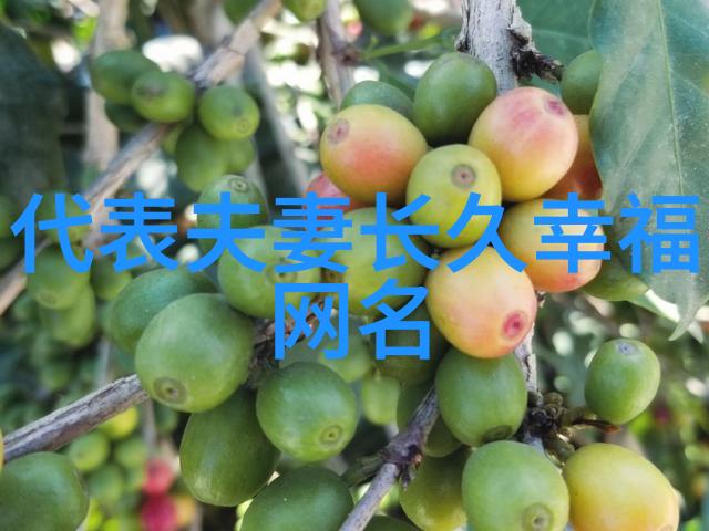公交车站避雨第二集-雨中停留公交车站的无声对话